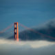 Worldwide public cloud market to hit $186.4 billion, with hyperscale cloud providers dominating it: Gartner