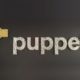 Puppet buys data visualization startup Reflect for data visualization capabilities
