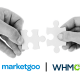 marketgoo